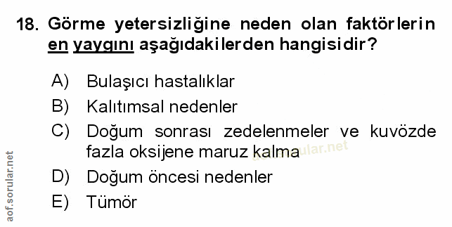 Soru 18