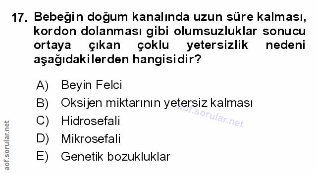 Soru 17
