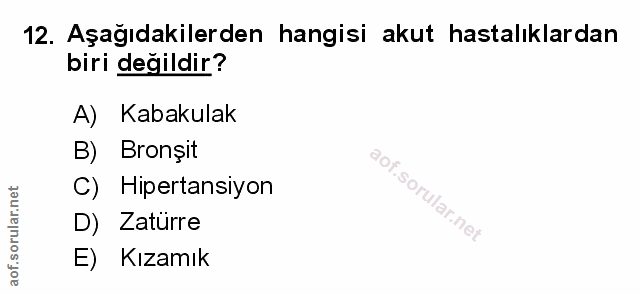 Soru 12