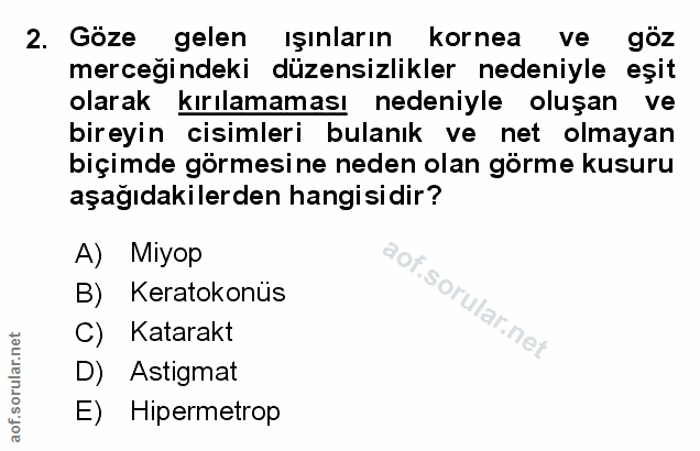 Soru 2