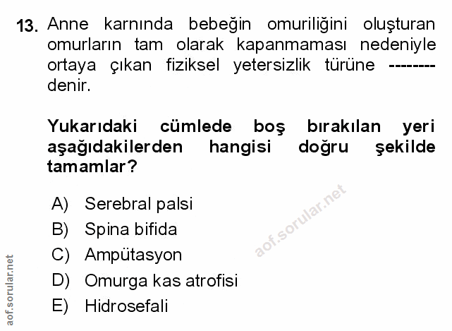 Soru 13