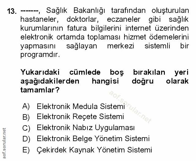 Soru 13