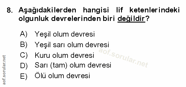 Soru 8