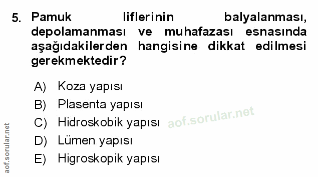Soru 5