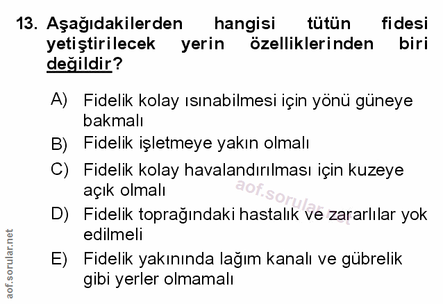 Soru 13