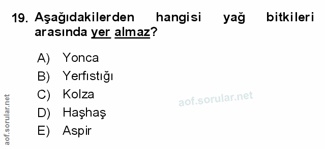 Soru 19