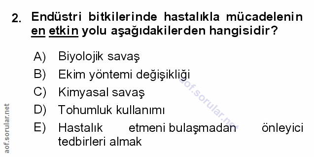 Soru 2