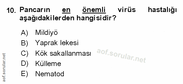 Soru 10