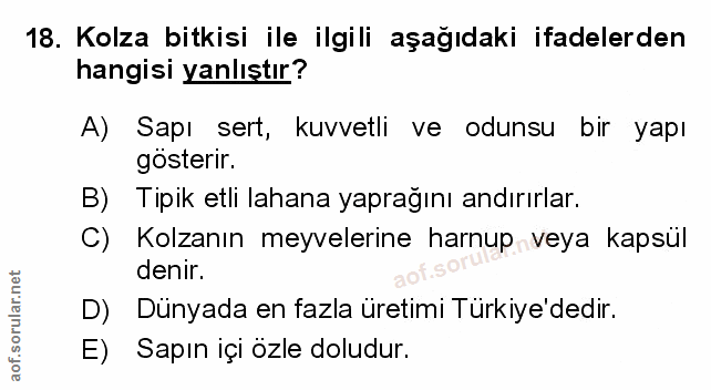 Soru 18