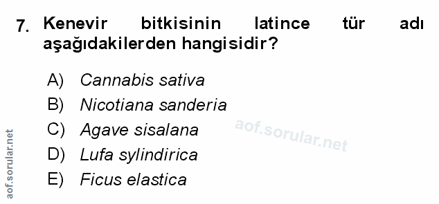 Soru 7