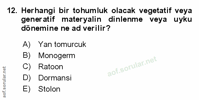 Soru 12