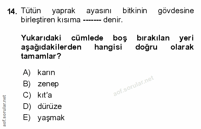 Soru 14