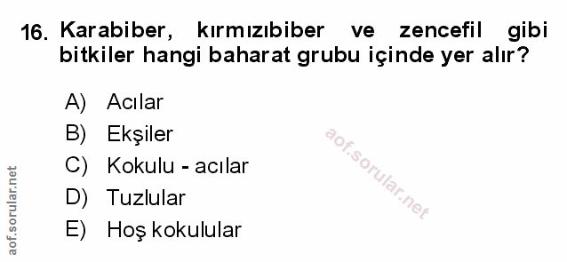 Soru 16