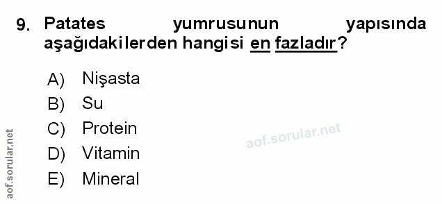 Soru 9
