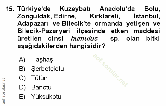 Soru 15