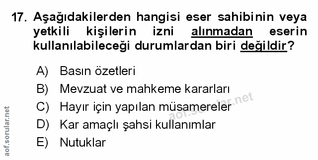 Soru 17