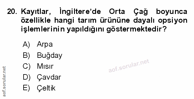 Soru 20