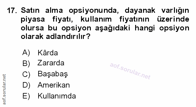 Soru 17