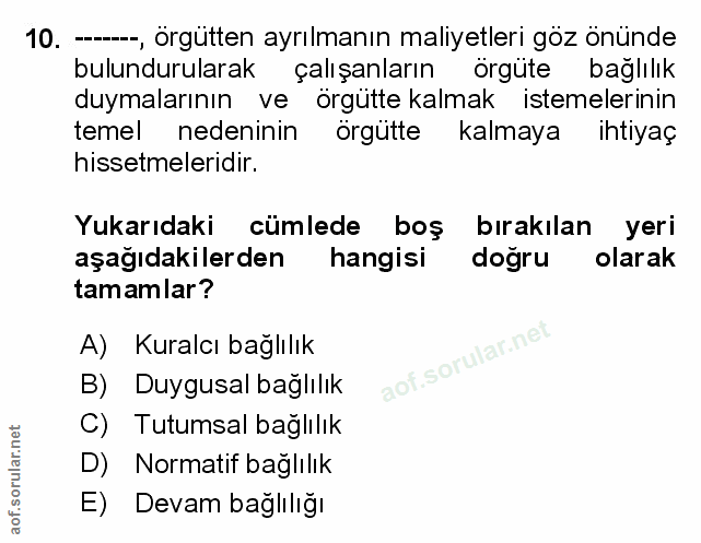 Soru 10