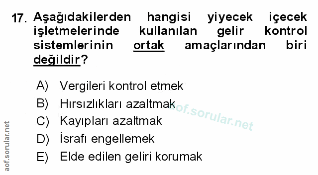 Soru 17