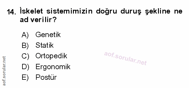 Soru 14