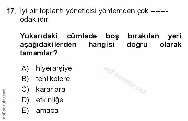 Soru 17