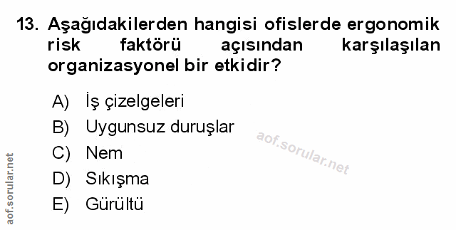 Soru 13