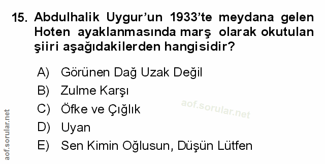 Soru 15