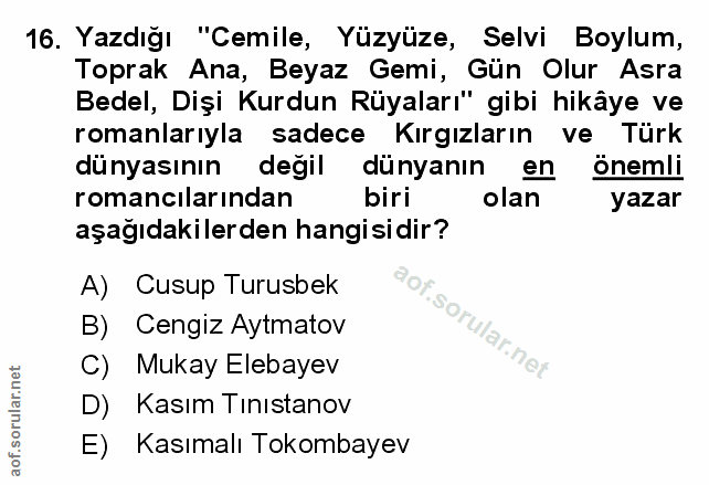 Soru 16