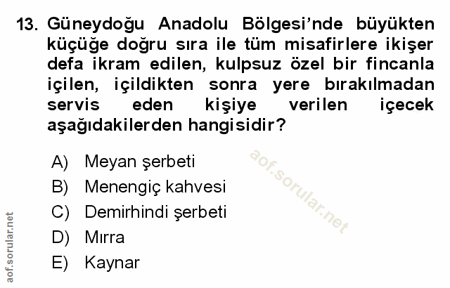 Soru 13