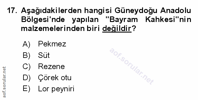 Soru 17