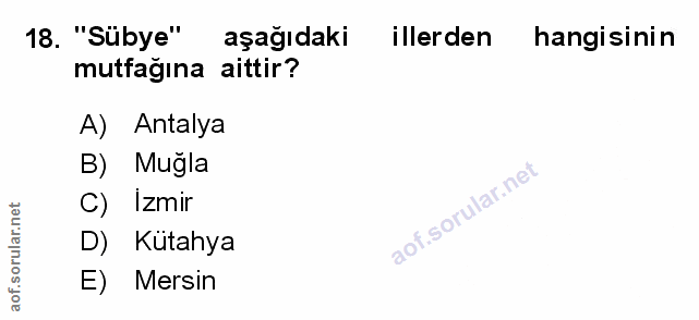 Soru 18