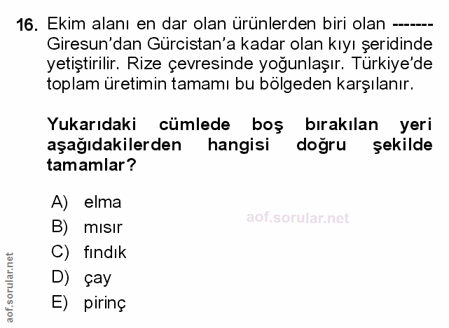 Soru 16