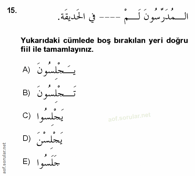 Soru 15
