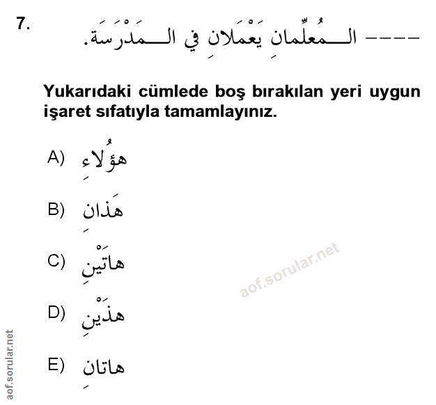 Soru 7