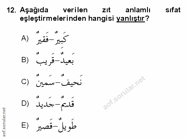 Soru 12
