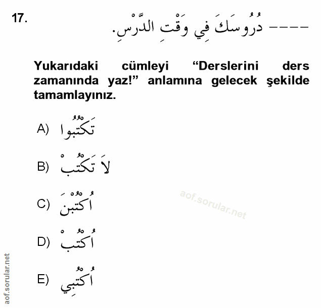 Soru 17
