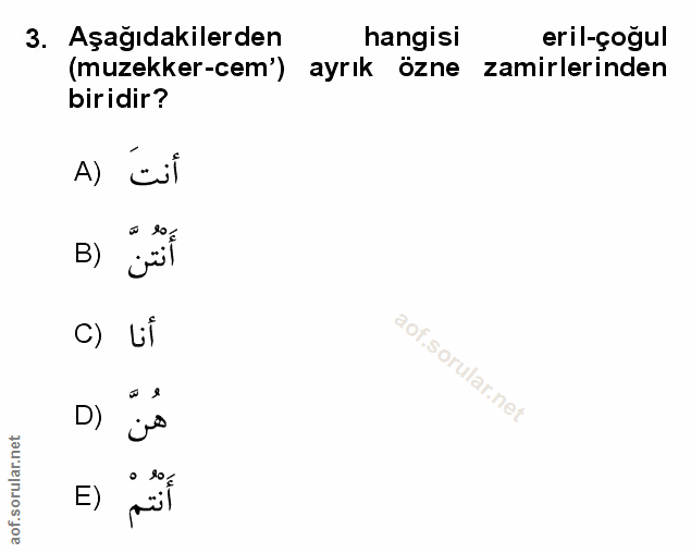 Soru 3