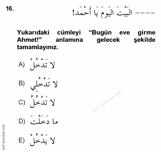 Soru 16