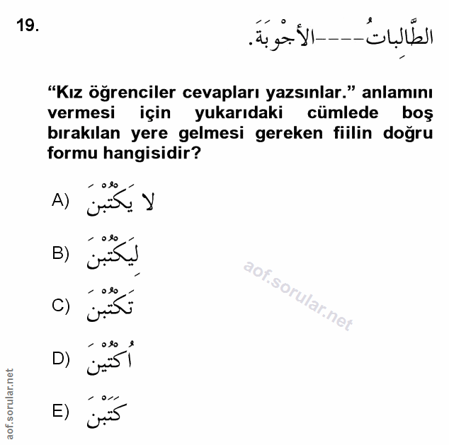 Soru 19