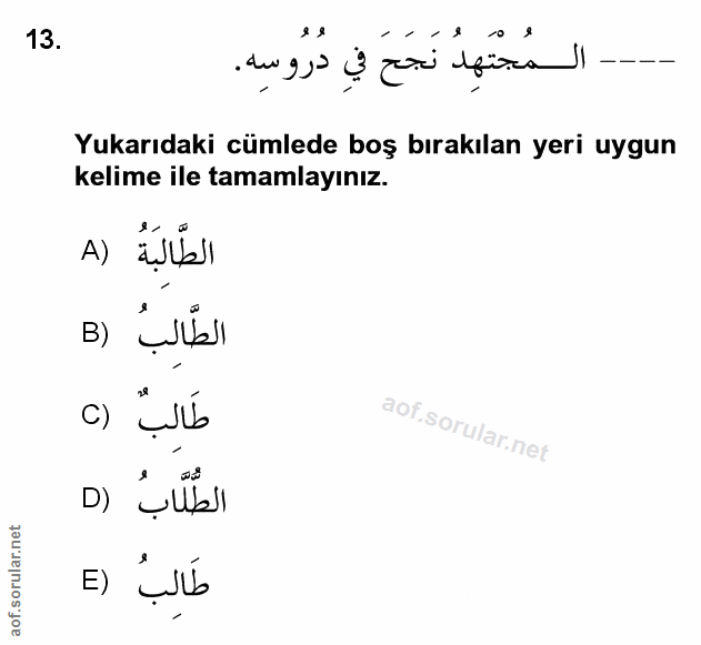 Soru 13