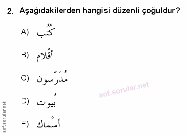 Soru 2