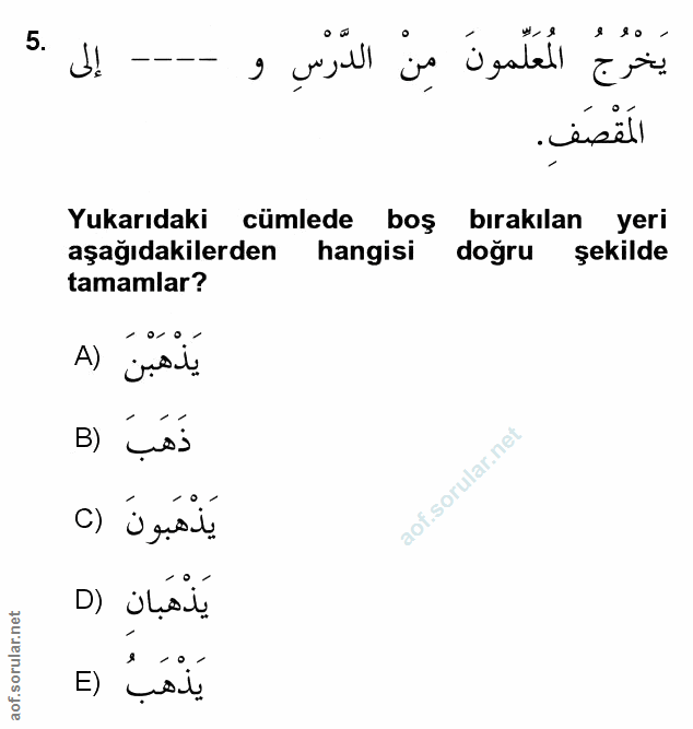 Soru 5