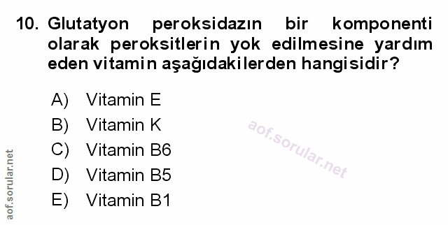 Soru 10