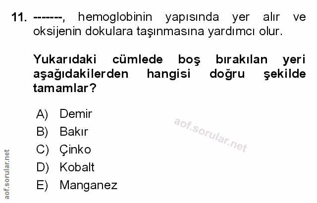 Soru 11
