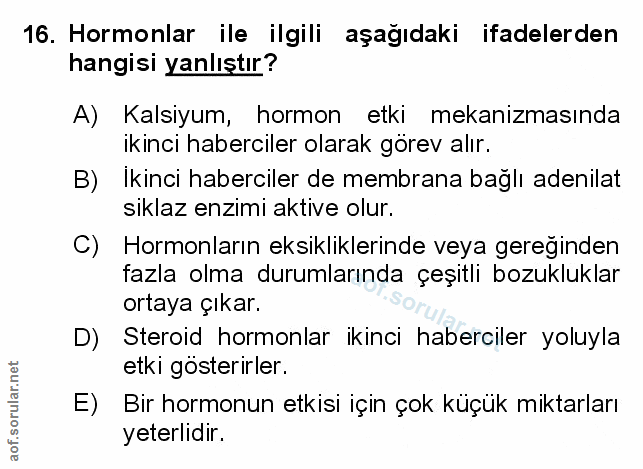 Soru 16