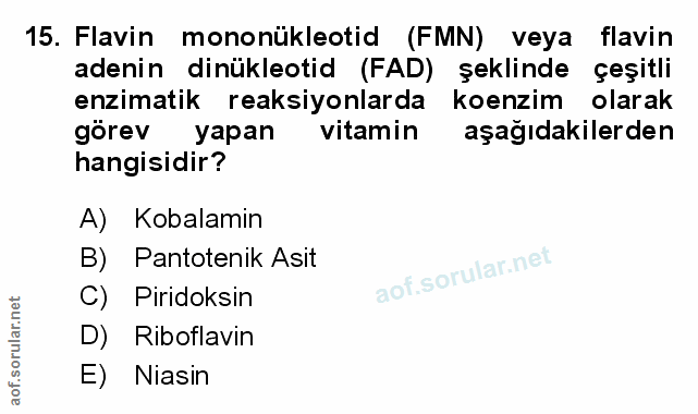 Soru 15