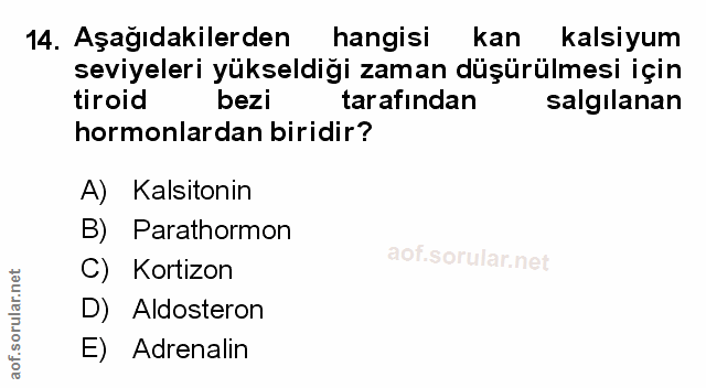 Soru 14