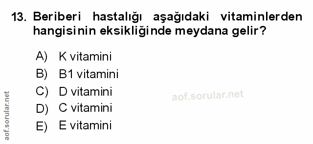 Soru 13