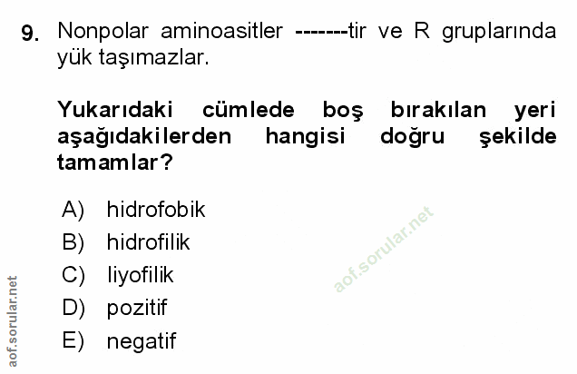 Soru 9